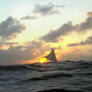 Meet your Posher, Sandra